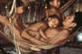 Bra-yano-family_thumb
