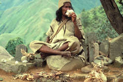 Arhuaco man, Colombia.
