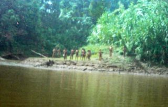 Mashco-piros-en-la-zona-del-manu-archivo-fenamad-2005_bulletin_band