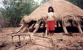 Par-ayo-rs-50-original_thumb