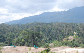 Bulldozers-clear-land-for-oil-palm-plantations-metalon-sarawak_bulletin_band