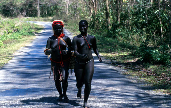 Dos mujeres jarawa en la Andaman Trunk Road, que se abrió ilegalmente a través de la Reserva Indígena Jarawa y que pone en peligro a esta tribu por facilitar la introducción de enfermedades frente a las que no tienen inmunidad.