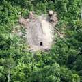 Uncontacted Indians' houses, Javari Valley, Brazil &copy; Peetsa/Arquivo <span class="caps">CGIIRC</span>-Funai