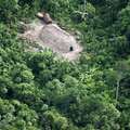 Uncontacted Indians' houses, Javari Valley, Brazil &copy; Peetsa/Arquivo <span class="caps">CGIIRC</span>-Funai