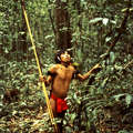 Yanomami hunter in the Venezuelan rainforest. &copy; <span class="caps">JERRY</span> <span class="caps">CALLOW</span>/<span class="caps">SURVIVAL</span>