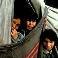 Innu children
 &copy; Serge Jauvin/Survival