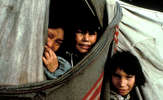 Innu-children-2_thumb