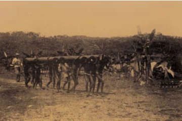 Witoto slaves in the Putumayo, Colombia
