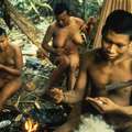 Nukak preparing darts for blowpipe.
 &copy; Gustavo Pollitis/Survival