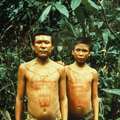 Nukak men, Colombia
 &copy; Gustavo Pollitis/Survival