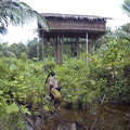 Korowai mother and child returning to  their tree-house after gathering food in the forest &copy; Survival