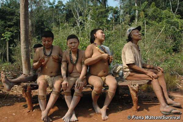 There are now just five surviving Akuntsu. When they die, the tribe will become extinct.