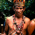 Guarani man preparing for religious song and dance, Brazil. &copy; Fiona Watson/Survival