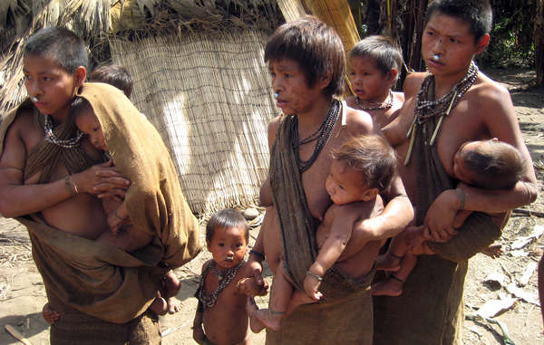 Die isolierten Nanti leben im Kugapakori-Nahua-Reservat und sind durch Landinvasionen und Krankheiten gefährdet.