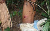 Braz-tut-cimi-lr-08_thumb