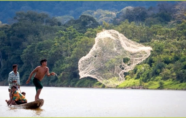 Fishing in the Isiboro Sécure national park