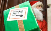 Anil-santa-web_thumb