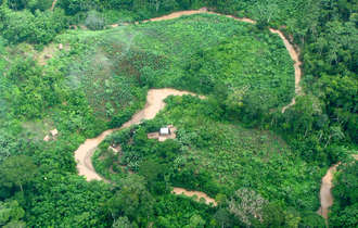 Peru-mur-cf-01-hr_bulletin_band