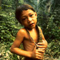 Een Penan jongetje, Sarawak &copy; Andy Rain/Nick Rain/Survival