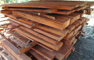Peru-logging-dh-03-medium_bulletin_band