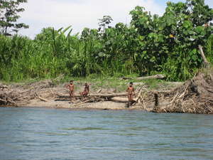 Dozens of encounters between uncontacted Mashco-Piro Indians, tourists and settlers have been recorded in recent years.