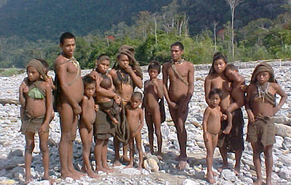 The expansion of the Camisea gas projects would threaten the lives of uncontacted tribes in the Nahua-Nanti Reserve.