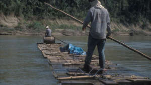 Peru-yine-ddpp-01-medium_300_wide