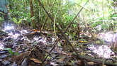 Per-unc-mw_widescreen_small
