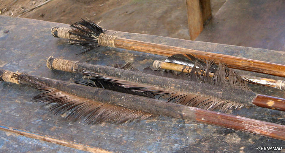 Flechas pertencentes a índios isolados, coletados no sudeste do Peru. © <span class="caps">FENAMAD</span>