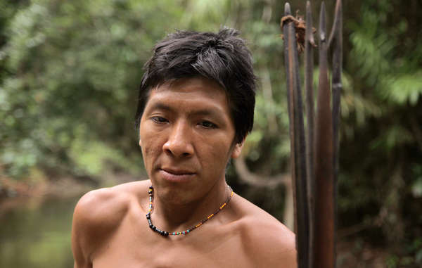 The Americas&apos; leading human rights body has been called upon to save the Awá, Earth&apos;s most threatened tribe, from illegal invaders on their land.