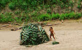Peru-mash-fenamad-02-crop-lr_thumb