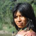 Femme ashéninka, Rio Yurua, Pérou &copy; David Hill/Survival