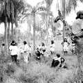 Guarani &copy; João Ripper/Survival