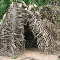 Hutte mashco-piro abandonnée, Pérou. &copy; <span class="caps">FENAMAD</span>