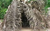 Peru-mash-fenamad-01_thumb
