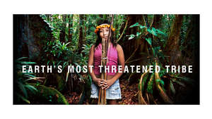 Main-web-image-border2_300_wide