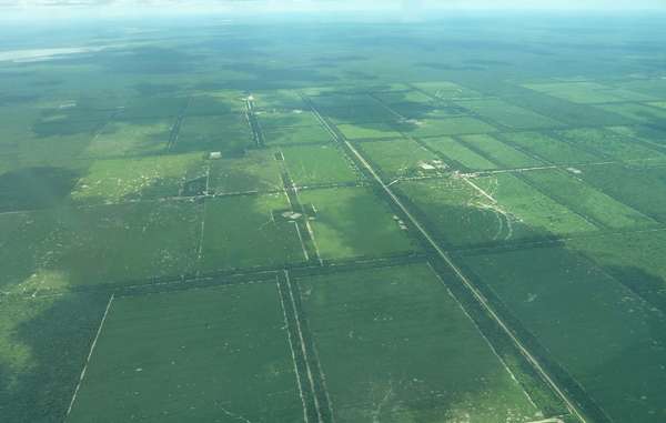 Aerial photograph showing the devastation that logging has brought to Ayoreo land.