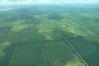Paraguay: sorvolo conferma la distruzione della terra ayoreo
