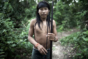 Illegal logging is stopping Earth’s most threatened tribe from hunting.