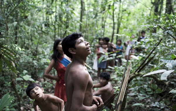 30 000 personnes ont interpellé le ministre brésilien de la Justice sur le sort de la tribu la plus menacée au monde. © D Pugliese/ Survival