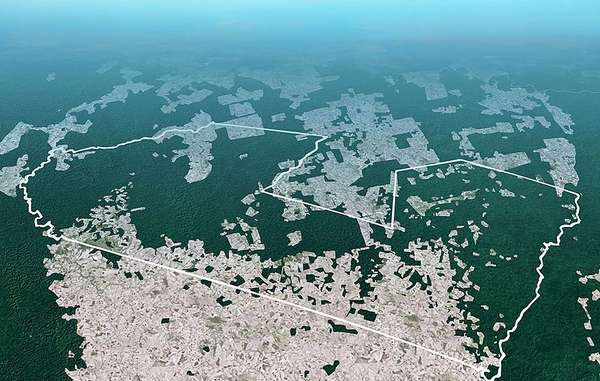 Illegal deforestation has ravaged more than 30% of one of the Awá's territories since 1985.