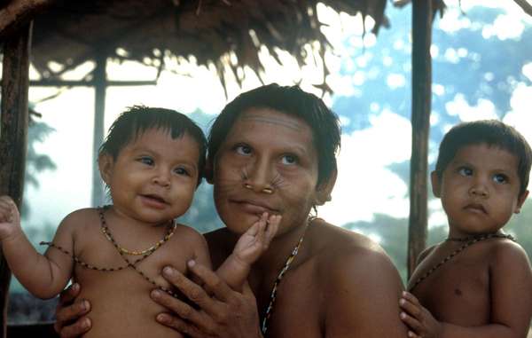 The Matís and other tribes of Brazil's Javari Valley are speaking out against oil exploration around their forest.