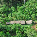 Misschien wel 300 Indianen in het Massacó district in Rondônia leiden een geïsoleerd bestaan. &copy; Gleison Miranda/<span class="caps">FUNAI</span>