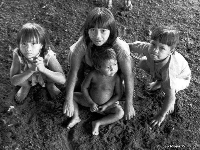 Guarani Children (Photo courtesy of survivalinternational.org)