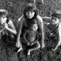 Guarani children
 &copy; João Ripper/Survival