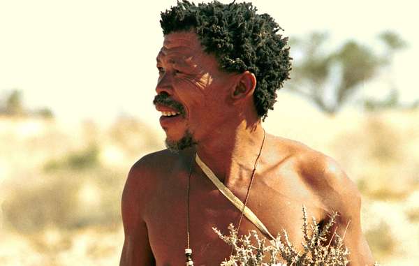 Dawid Kruiper was considered an 'icon' and key representative of the Bushmen of the southern Kalahari.