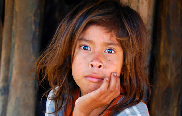 Most of the Ayoreo have been forced out of the forest. They have since been fighting for their land rights.