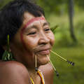 Mujer yanomami, Brasil. &copy; Fiona Watson/Survival