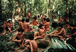 A group of Yanomami people in Demini, Brazil.