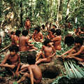 Yanomami, Demini, Brasil.  &copy; Fiona Watson/Survival